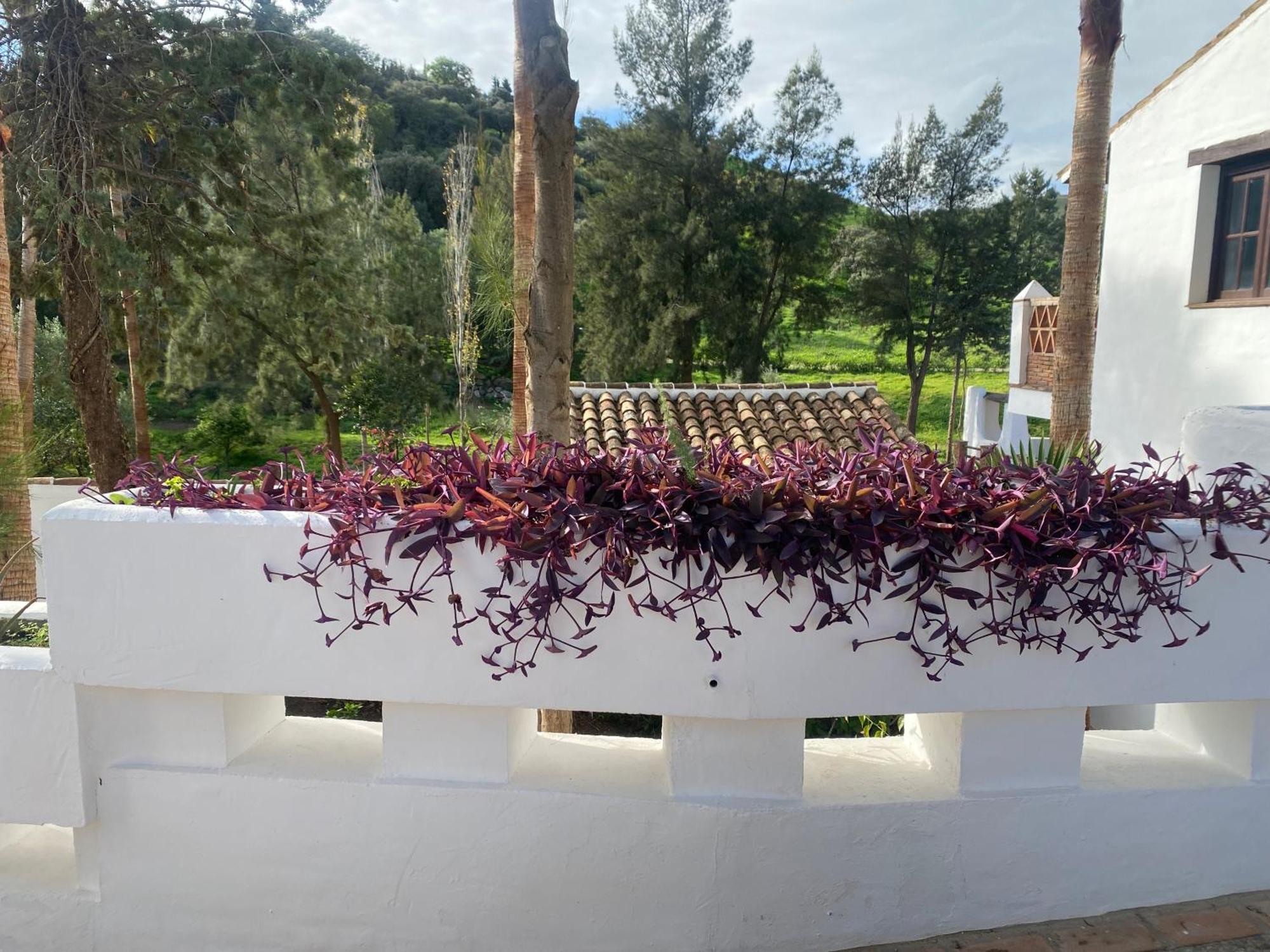 Malaga Sierra De Las Nieves By Real Spain Hotels Adults Recommended Casarabonela Kültér fotó